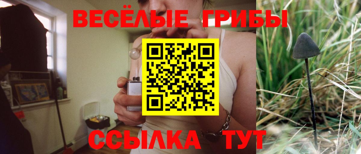 Псилоцибиновые грибы мухоморы  Псилоцибиновые грибы Psilocybine cubensis  Нижнекамск  Вход с VPN 